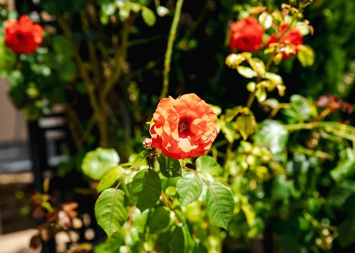 K&e And 3* Sunny Beach